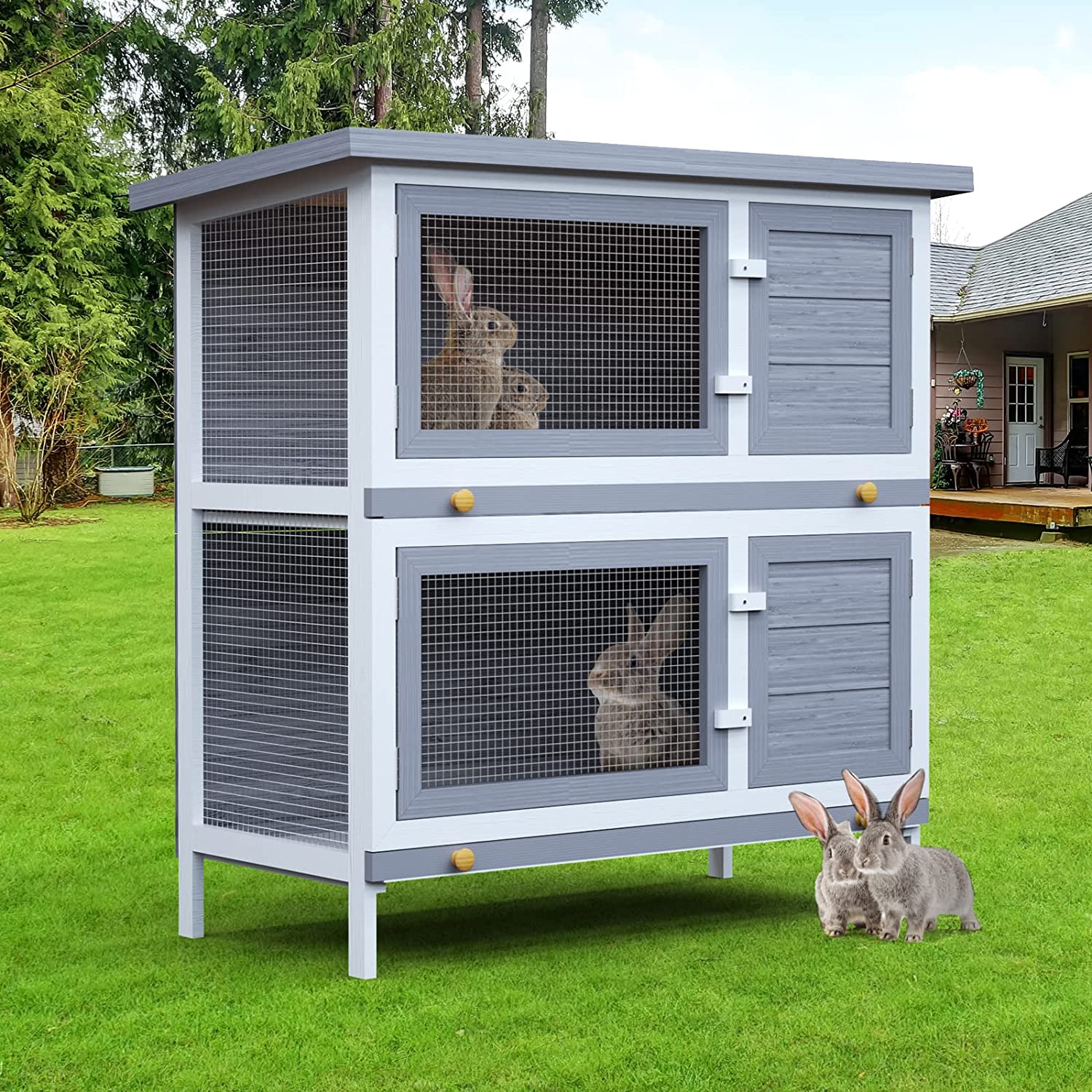 Pet hutch clearance