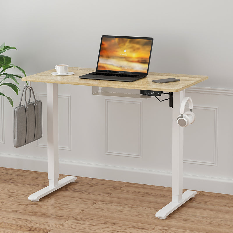 Advwin standing desk​