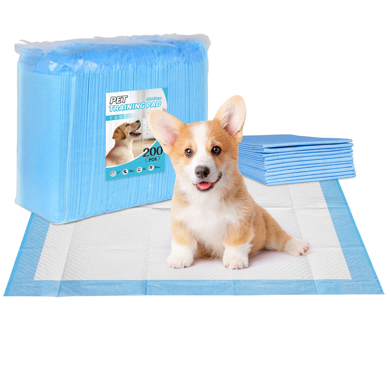 Puppy pads 200 best sale