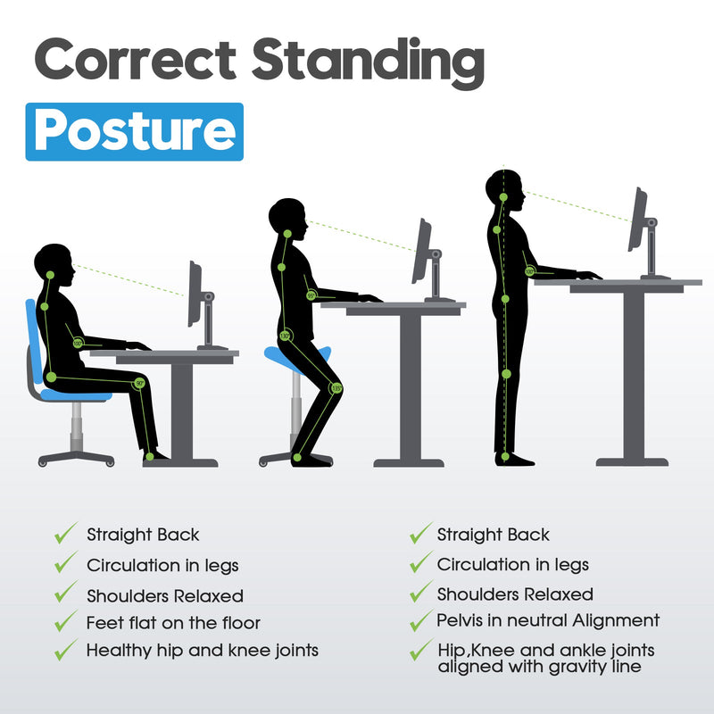 Advwin Electric Standing Desk 140cm & Office Chair