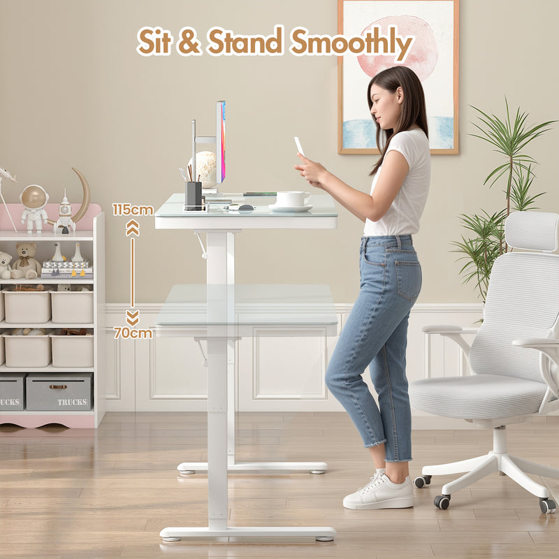 Advwin Electric Standing Desk with Drawer