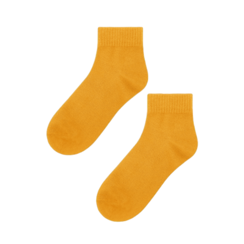 Advwin Casual Ankle Socks for Men and Women