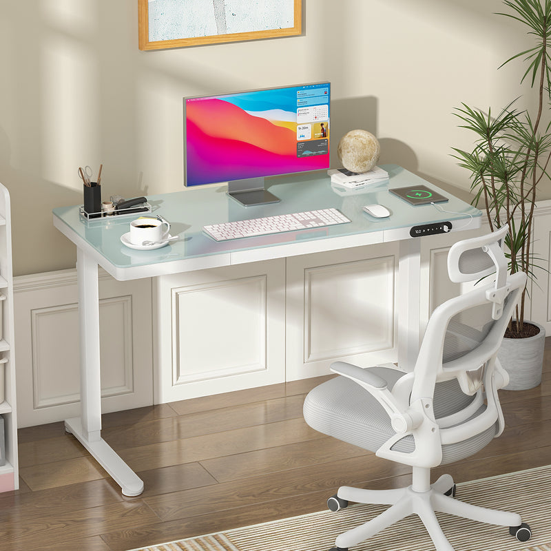 Advwin Electric Standing Desk with Drawer