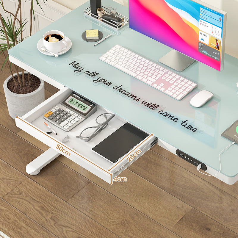 Advwin Electric Standing Desk with Drawer