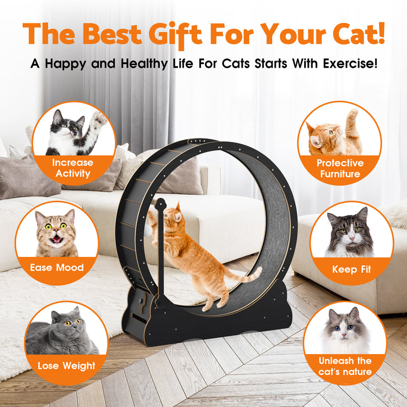 Advwin 2 in 1 Cat Exercise Wheel with Teaser