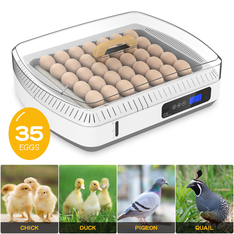 Advwin 35 Egg Incubator Automatic Turning