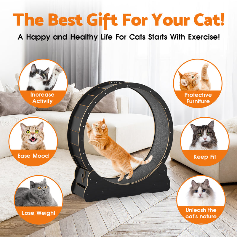 Advwin Cat Exercise Wheel Treadmill Scratcher Board